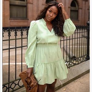 Smoke Green Long Sleeve V-Neck Mini Dress